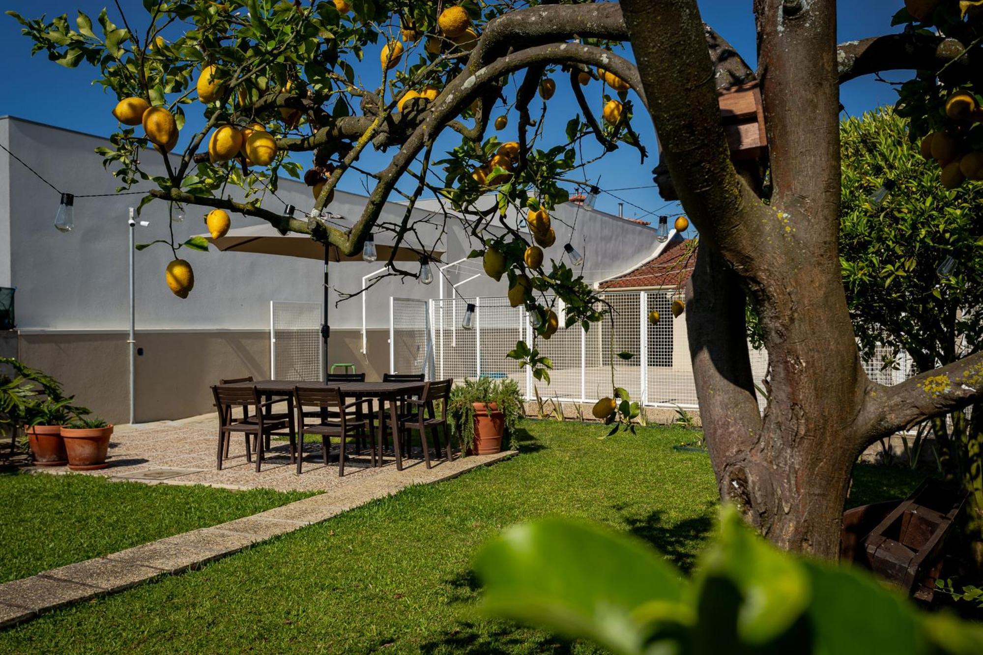 Holiday home 714 Mugnano House Aveleda Vila do Conde